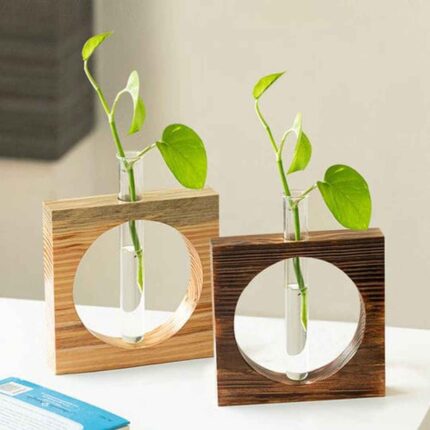 Carved Circle Glass Garden Test Tube Planters for Home Decor (Set of 2)